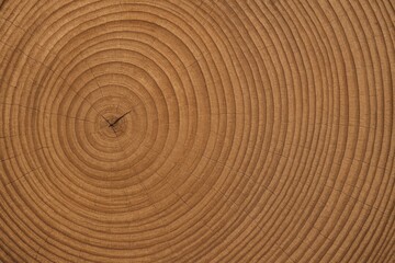 Fototapeta premium Close-up of tree trunk cross section with detailed annual rings on natural wood surface background in top-down view pattern. Ai generative. Ai generative