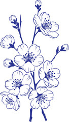 Vector art of delicate blue cherry blossom branch with buds and flowers