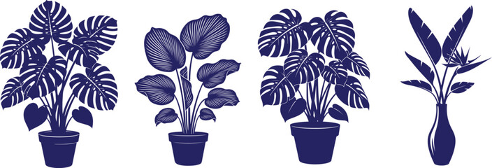 Vector art of collection of potted house plants and bird of paradise flower in vase