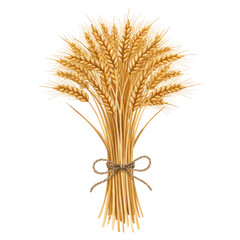 Fototapeta premium Tied bundle of golden ripe wheat stalks illustration with natural twine bow