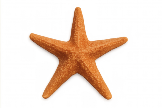 Orange starfish presenting a marine life symbol, echinoderm from the ocean, on transparent background - Powered by Adobe