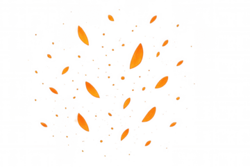 Orange petals floating on transparent background, flying flower elements symbolizing love, spring, celebration, and decor