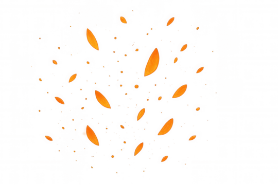 Orange petals floating on transparent background, flying flower elements symbolizing love, spring, celebration, and decor