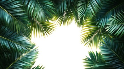 Fototapeta premium Bright white background framed by lush green palm leaves creating a fresh and tropical border