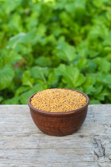 Mustard seeds filling bowl resting on rustic wood. planting of siderates