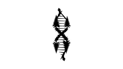 Dna helix formed by evergreen trees with transparent background