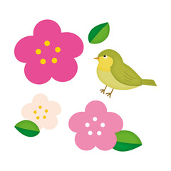 梅の花と鶯
