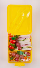 Healthy Lunchbox with Sandwich and Fruit Skewers