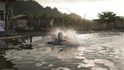 Paddle Wheel Aerator in a Fish or Shrimp Pond