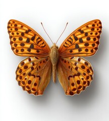 This digital illustration presents a butterfly with colorful wings, captured in flight and isolated on a transparent background