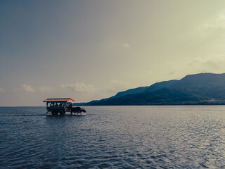 由布島と牛車