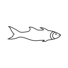 Obraz premium Fish icon. Element of sea life icon. Premium quality graphic design. Signs, symbols collection icon for websites, web design, mobile app on white background