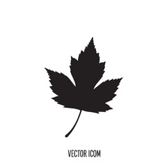 Maple leaf silhouette vector icon isolated on white background autumn season nature element graphic botanical symbol plant foliage design