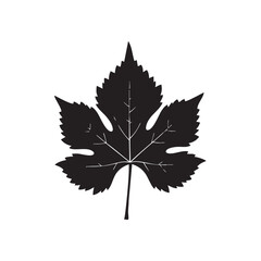 Grape leaf silhouette vector illustration isolated on white background vineyard element nature botanical symbol fruit plant foliage design