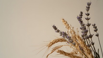 Obraz premium Soft focus dried lavender and wheat bunch against a neutral textured wall for a calming backdrop