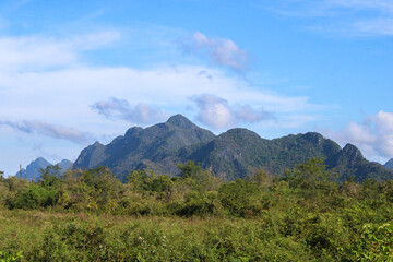 Scenic Mountain View with Verdant Foreground