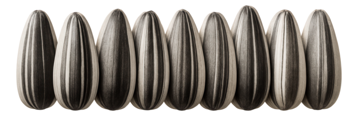 A small burlap sack filled with dried oyster mushrooms, their fan-like caps and soft gray hues peeking through the fabric