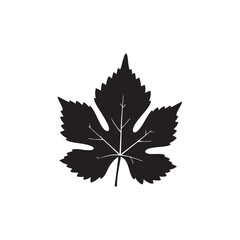 Detailed Grape Leaf Silhouette with Veins and Serrated Edges Representing Vineyards, Viticulture, and Natural Produce