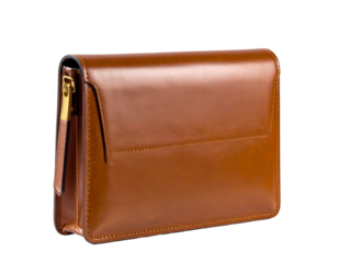 Upscale, leather-bound bag with a rectangular shape and prominent golden zipper
