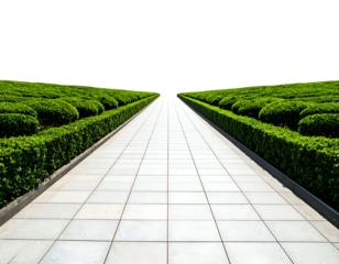 Long, tiled pathway flanked by manicured green hedges against a stark black sky