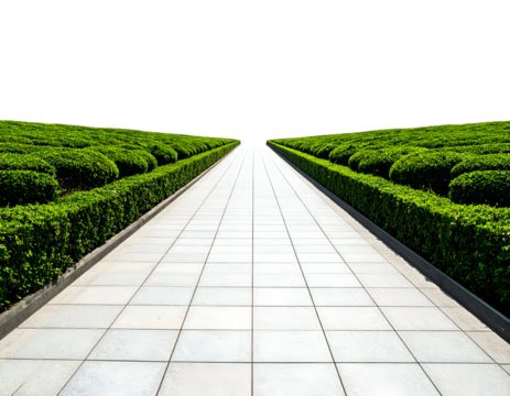 Long, tiled pathway flanked by manicured green hedges against a stark black sky