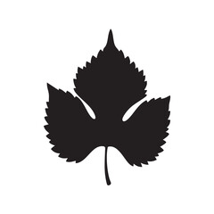 Black silhouette of a grape leaf isolated on a white background organic plant element