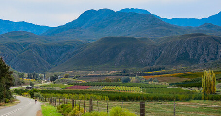 A Sunday afternoon walk.