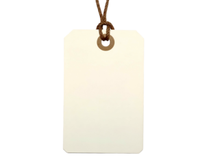 Isolated beige rectangle tag with rounded corners and a brown string for suspension