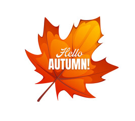 Hello autumn banner with falling maple leaf. Cartoon vector large, vibrant orange maple leaf with bold white lettering, conveying seasonal warmth and festive, colorful spirit of the fall season
