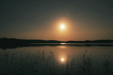 Sunrise at the lake with reeds and forest, peaceful nature atmosphere