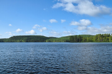 Swedish lake with forest reflection under blue sky on a sunny day