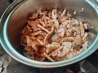 Boil mushroom stew in a pot.