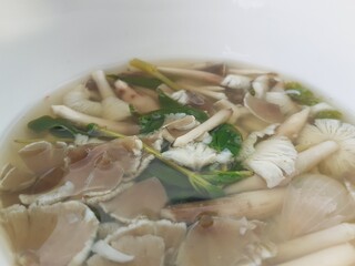 Boil mushroom stew in a pot.