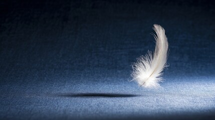 directional. A single white feather gently descending against a dark, textured background. wildlife magazines, conservation campaigns, designed for eco-tourism storytelling, used by project managers.
