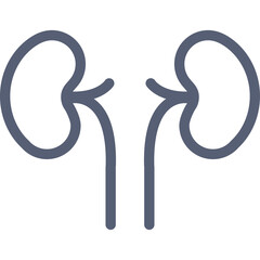 Simple Line Art Icon Representing Human Kidneys With Transparent Background In Blue Gray Color