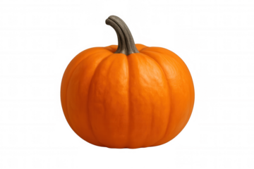 Bright orange pumpkin presenting vibrant autumn and halloween colors and harvest season theme, transparent background