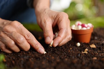A Close-Up of Hands Planting Seeds in Nutrient-Rich Soil for a Thriving Garden