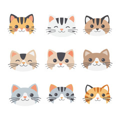 Charming Cat Face Cartoon Look