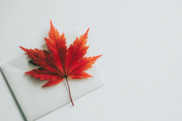 Single red autumn leaf rests on white envelope, symbolizing fall, simplicity, and natural beauty, with minimalistic and serene composition on light background