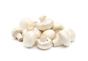 Champignon mushroom isolated on white background