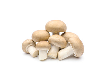 Champignon mushroom isolated on white background