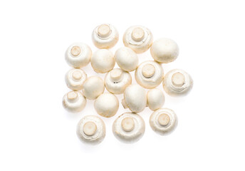 Champignon mushroom isolated on white background