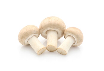 Champignon mushroom isolated on white background