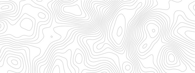 Topographic map seamless pattern contour lines on a white background vector illustration for geographic design