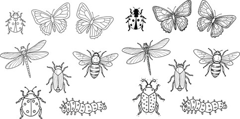Insect illustration collection, ladybug butterfly dragonfly bee caterpillar drawings, hand drawn insects, entomology artwork, nature pattern, educational insect chart, vintage style © Joyaber's World