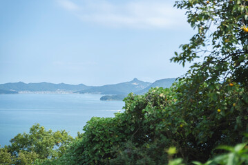 海の風景
