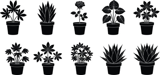Silhouette potted plant collection, black botanical icons, indoor foliage shapes, minimalist leaf patterns, modern nature graphic asset for decoration