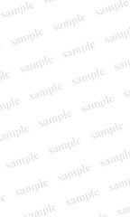 sampleの透かし