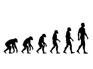 Fototapeta premium Human Evolution Stages Timeline Silhouette