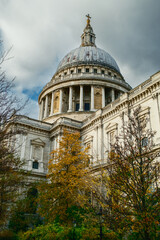 Fototapeta premium Colorful Leaves Of The Threes Under The St Paul Cathedral 